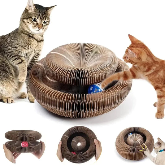 Magic Organ Cat Toy Cats Scratcher