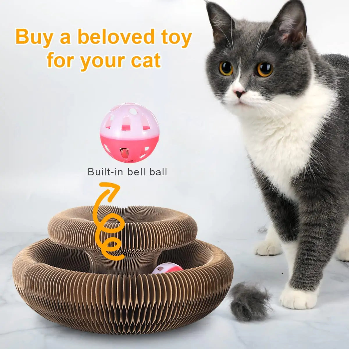 Magic Organ Cat Toy Cats Scratcher